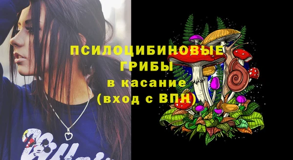 2c-b Кукмор